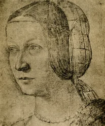 Female Portrait
